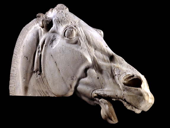 Head of a horse of Selene from the east pediment of the Parthenon. The likely inspiration for the Staunton knight. (image: British Museum) 
